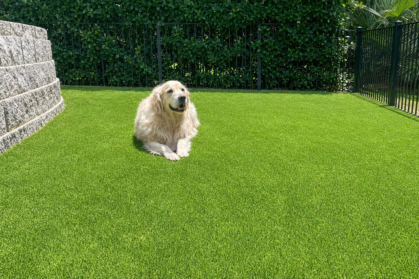 Pet-friendly turf in Marina, CA