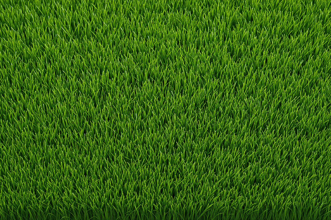 Synthetic lawn turf in Marina, CA