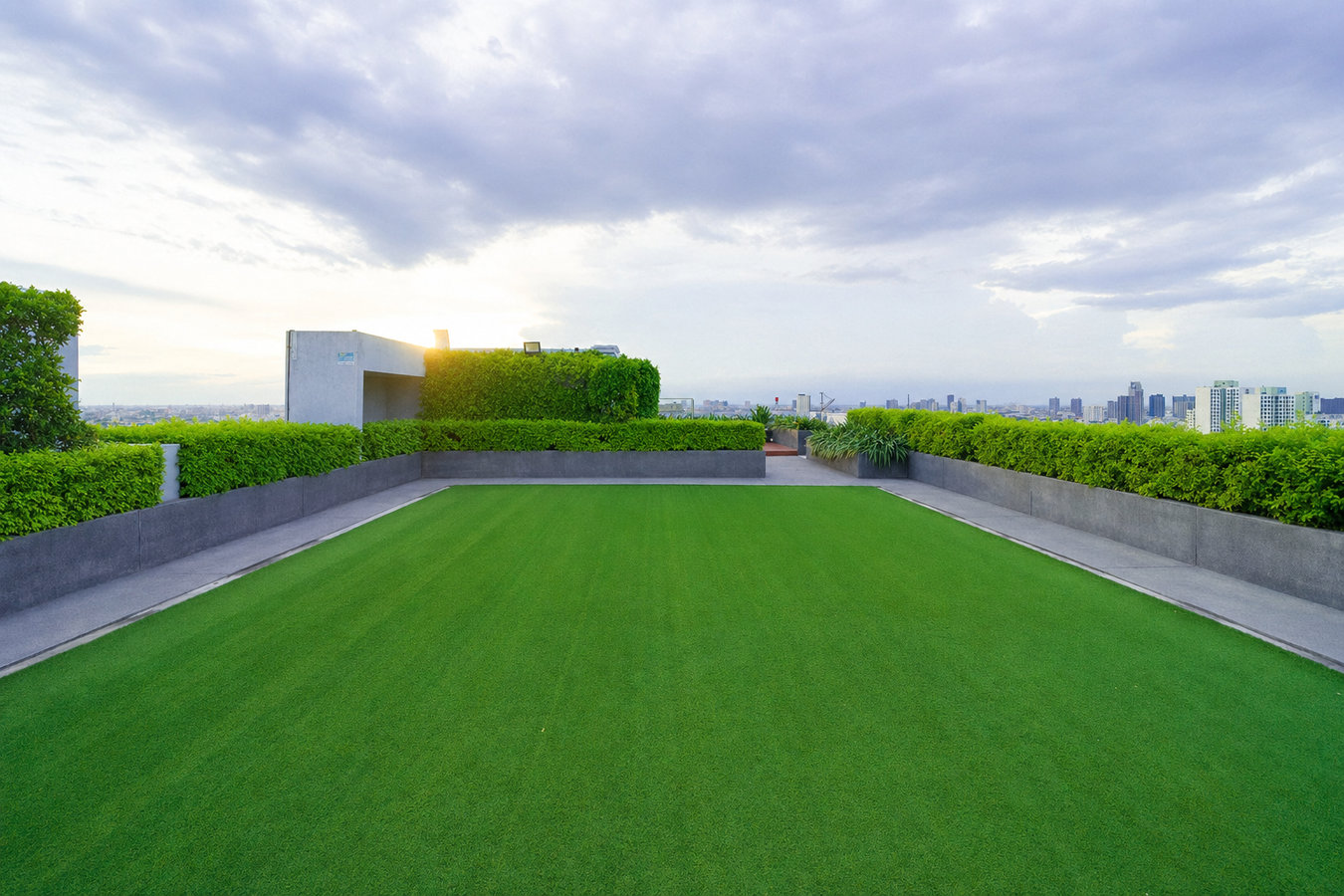 Turf for rooftop gardens in Marina, CA